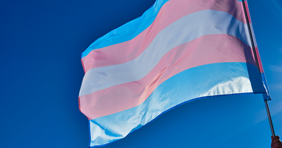 Transgender Day of Visibility What does it mean to be visibly vibrant